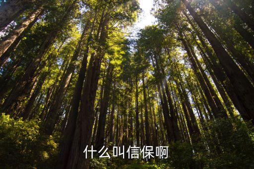中國(guó)出口信用保險(xiǎn)監(jiān)管制度