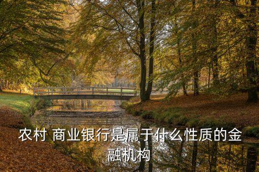  農村 商業(yè)銀行是屬于什么性質的金融機構