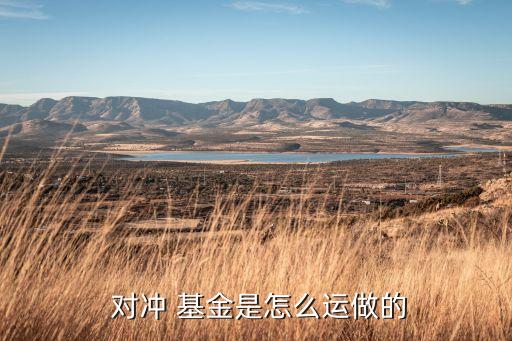 對(duì)沖基金主要策略,明汯多策略對(duì)沖基金