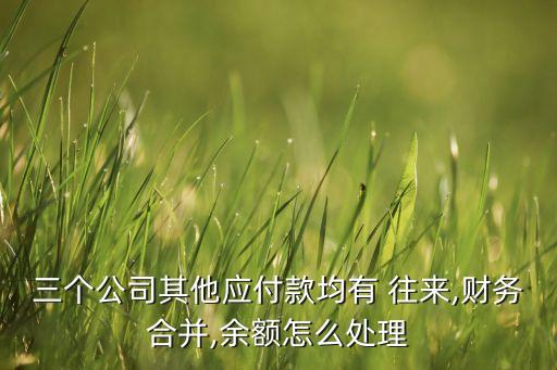 三個公司其他應付款均有 往來,財務合并,余額怎么處理