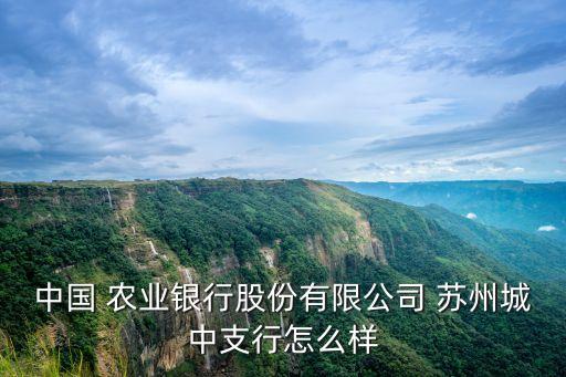 中國 農業(yè)銀行股份有限公司 蘇州城中支行怎么樣