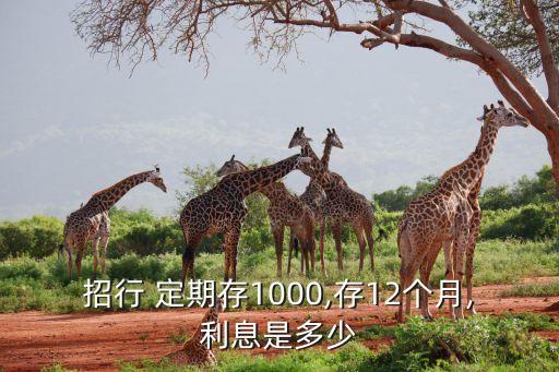 招行 定期存1000,存12個月,利息是多少