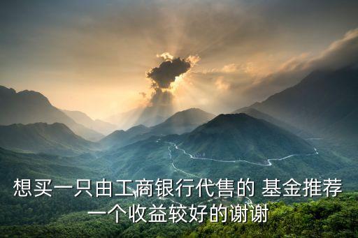 想買(mǎi)一只由工商銀行代售的 基金推薦一個(gè)收益較好的謝謝