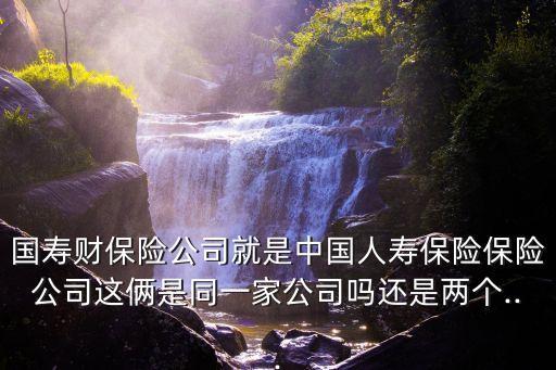 國壽財(cái)保險(xiǎn)公司就是中國人壽保險(xiǎn)保險(xiǎn)公司這倆是同一家公司嗎還是兩個(gè)...