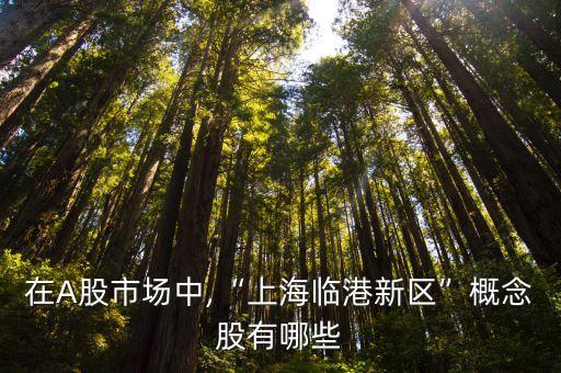 2013港口類(lèi)上市公司,美國(guó)最大的港口上市公司
