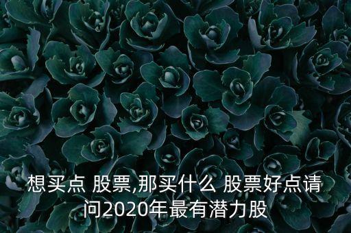 想買點(diǎn) 股票,那買什么 股票好點(diǎn)請(qǐng)問2020年最有潛力股