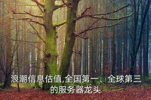  浪潮信息估值,全國第一、全球第三的服務(wù)器龍頭
