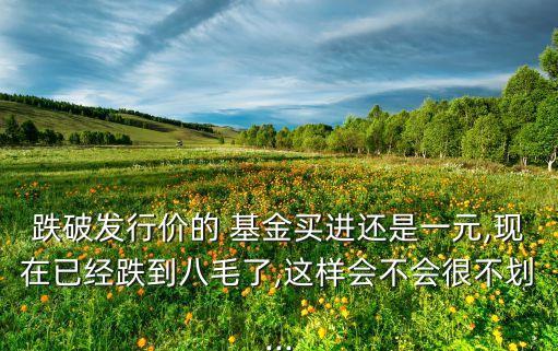 跌破發(fā)行價的 基金買進還是一元,現在已經跌到八毛了,這樣會不會很不劃...