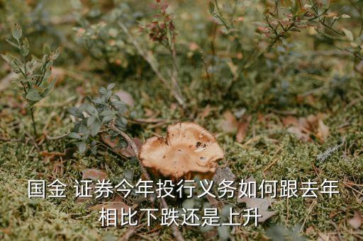  國(guó)金 證券今年投行義務(wù)如何跟去年相比下跌還是上升