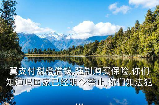 翼支付甜橙借錢,強(qiáng)制購買保險(xiǎn),你們知道嗎國家已經(jīng)明令禁止,你們知法犯...