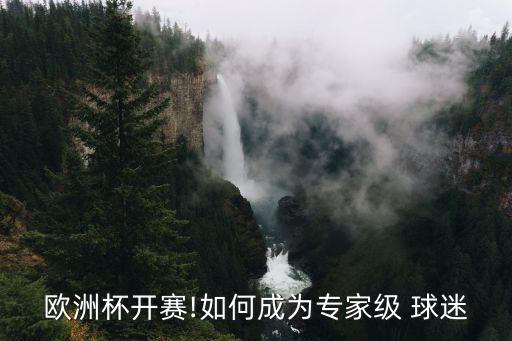歐洲杯開(kāi)賽!如何成為專(zhuān)家級(jí) 球迷