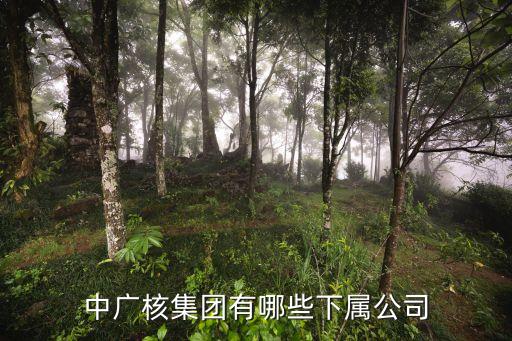中廣核集團(tuán)有哪些下屬公司