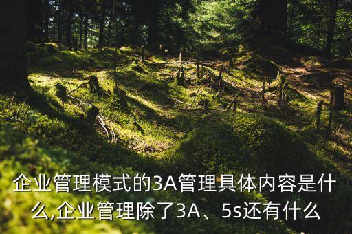 企業(yè)管理模式的3A管理具體內(nèi)容是什么,企業(yè)管理除了3A、5s還有什么