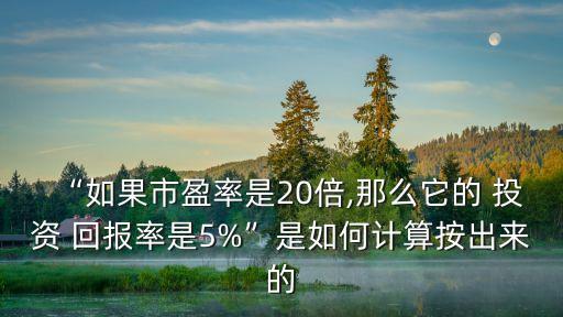 “如果市盈率是20倍,那么它的 投資 回報(bào)率是5%”是如何計(jì)算按出來(lái)的