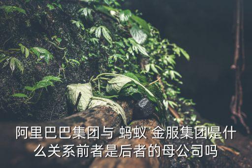 阿里巴巴集團與 螞蟻 金服集團是什么關(guān)系前者是后者的母公司嗎