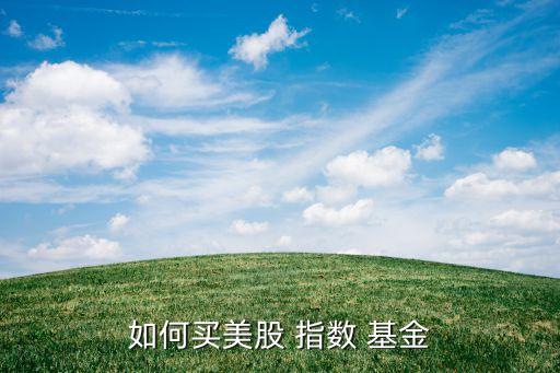 如何買美股 指數(shù) 基金