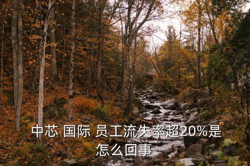  中芯 國際 員工流失率超20%是怎么回事
