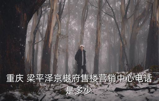 陜西省投資集團(tuán)梁平,梁平 陜西投資集團(tuán)有限公司