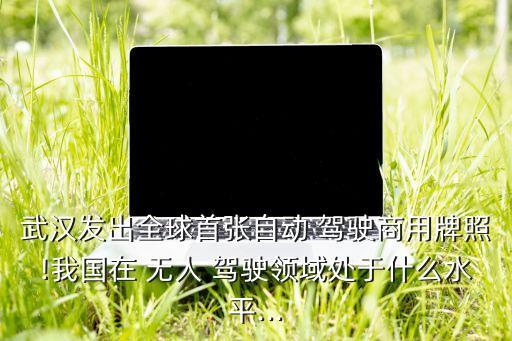 武漢發(fā)出全球首張自動 駕駛商用牌照!我國在 無人 駕駛領(lǐng)域處于什么水平...
