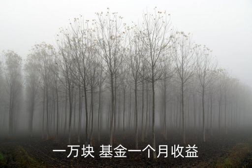 一萬(wàn)元貨幣基金掙多少錢(qián),買貨幣基金一萬(wàn)元一年能掙1000元嗎