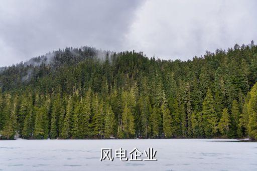風(fēng)電企業(yè)