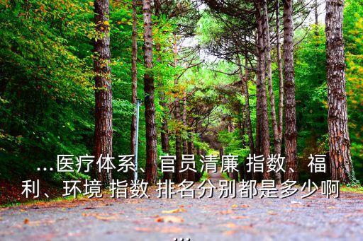 ...醫(yī)療體系、官員清廉 指數(shù)、福利、環(huán)境 指數(shù) 排名分別都是多少啊...