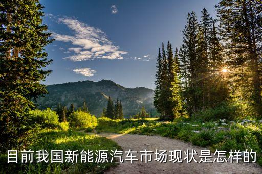 目前我國(guó)新能源汽車市場(chǎng)現(xiàn)狀是怎樣的