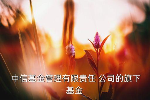  中信基金管理有限責(zé)任 公司的旗下基金