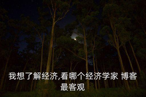 我想了解經(jīng)濟,看哪個經(jīng)濟學(xué)家 博客最客觀