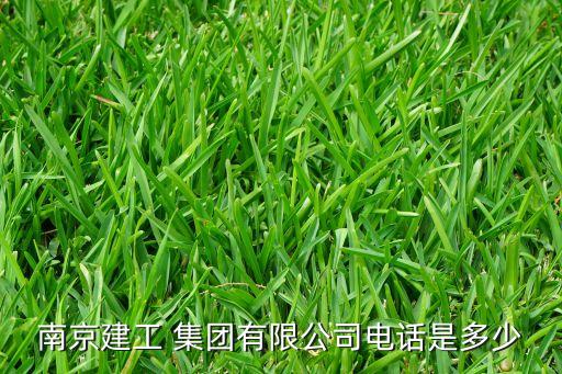 南京市城市建設(shè)投資控股集團有限責任公司,中國城市建設(shè)投資控股集團