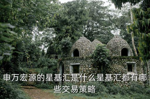 申萬宏源的星基匯是什么星基匯都有哪些交易策略