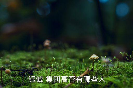  鈺誠 集團(tuán)高管有哪些人
