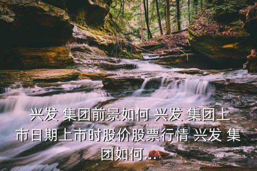 興發(fā) 集團(tuán)前景如何 興發(fā) 集團(tuán)上市日期上市時股價股票行情 興發(fā) 集團(tuán)如何...