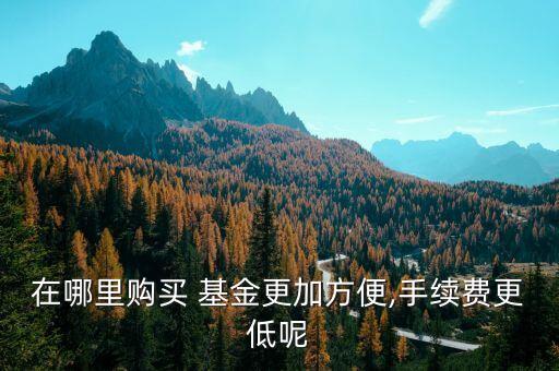 在哪里購(gòu)買 基金更加方便,手續(xù)費(fèi)更低呢