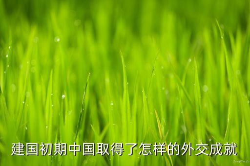 建國(guó)初期中國(guó)取得了怎樣的外交成就