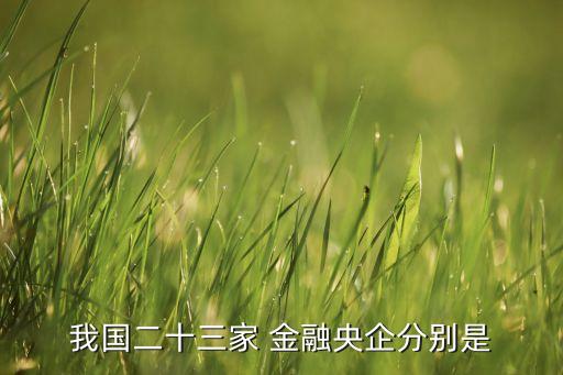 我國(guó)二十三家 金融央企分別是