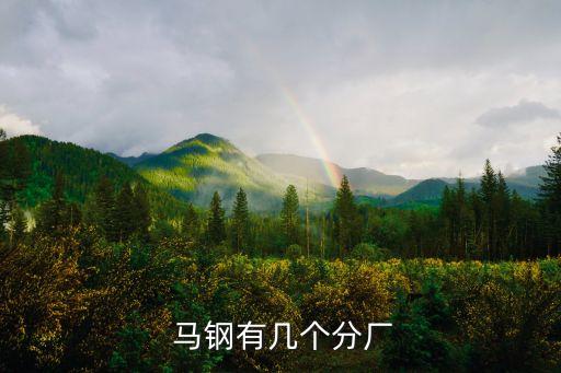  馬鋼有幾個分廠