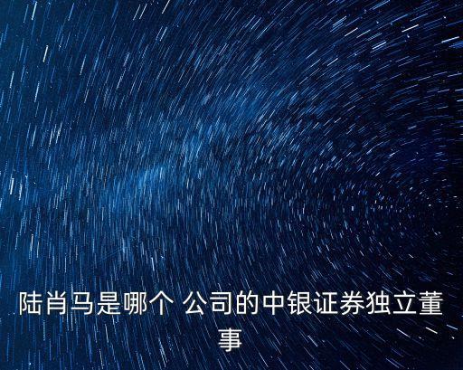 陸肖馬是哪個(gè) 公司的中銀證券獨(dú)立董事