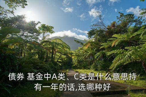 債券 基金中A類、C類是什么意思持有一年的話,選哪種好