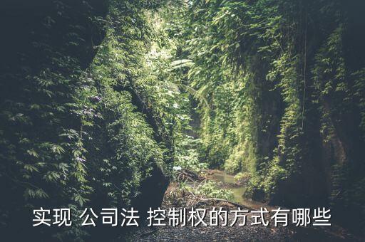 實現(xiàn) 公司法 控制權(quán)的方式有哪些