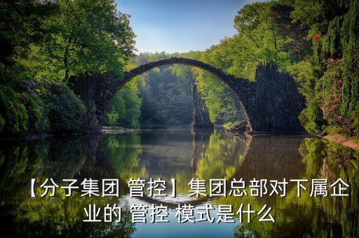 子公司管控模式,集團質量部如何管控子公司質量