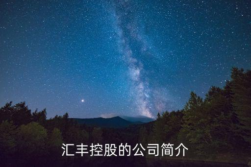 匯豐控股的公司簡介