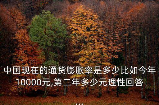 中國現(xiàn)在的通貨膨脹率是多少比如今年10000元,第二年多少元理性回答...