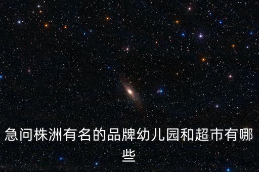 急問株洲有名的品牌幼兒園和超市有哪些