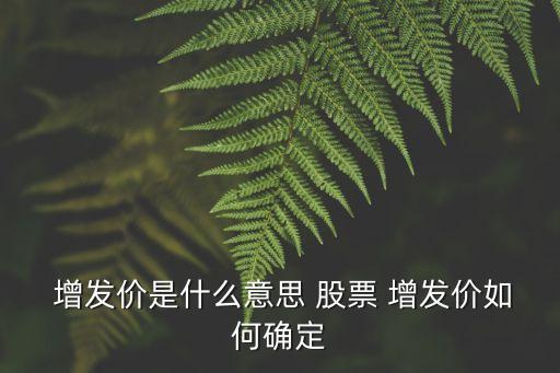  增發(fā)價(jià)是什么意思 股票 增發(fā)價(jià)如何確定