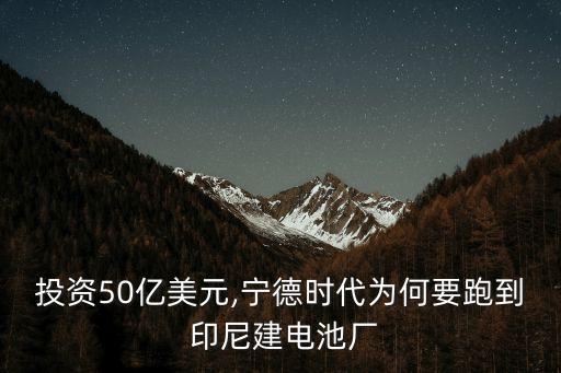 投資50億美元,寧德時(shí)代為何要跑到 印尼建電池廠