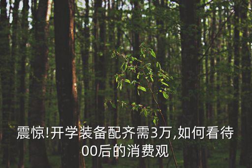 震驚!開學裝備配齊需3萬,如何看待00后的消費觀