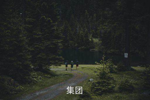 地博集團(tuán)