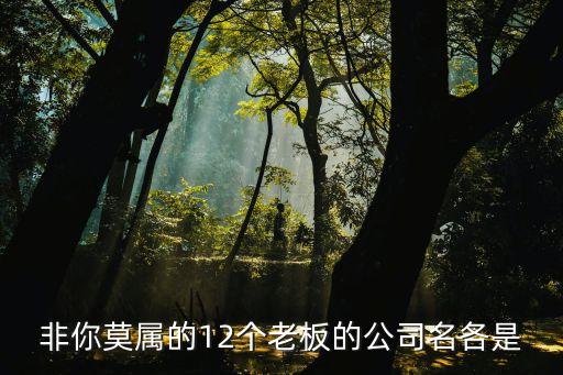 非你莫屬的12個(gè)老板的公司名各是