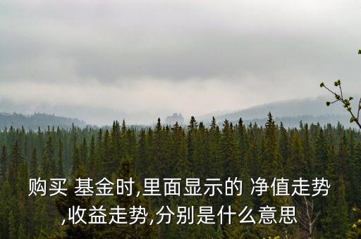 購買 基金時(shí),里面顯示的 凈值走勢(shì),收益走勢(shì),分別是什么意思